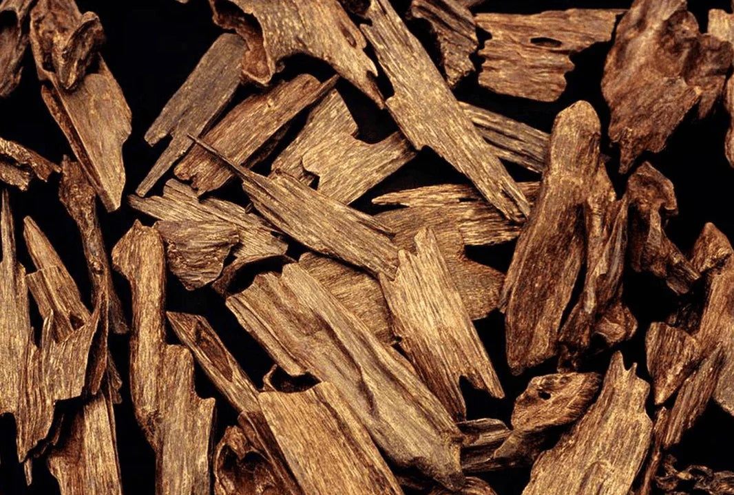 The Allure Of Oud: Exploring The Signature Scent Of Dubai - Elarab